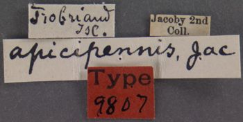 Media type: image; Entomology 9807   Aspect: labels